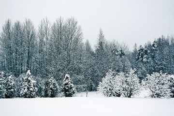 Winter landscape in Latvia, East Europe