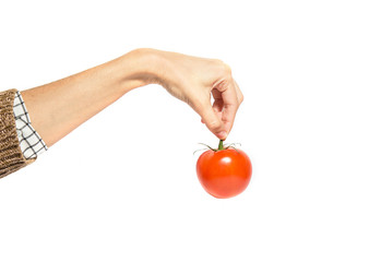 Woman's hand holds tomato isolated on white