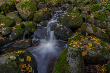 Water stream with green stones and fall yellow leavs.