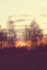 Fototapeta na wymiar Beautiful bright sunset
