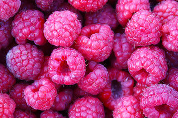 Fresh ripe raspberries