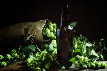 Beer with hops, dark wood background, selective focus
