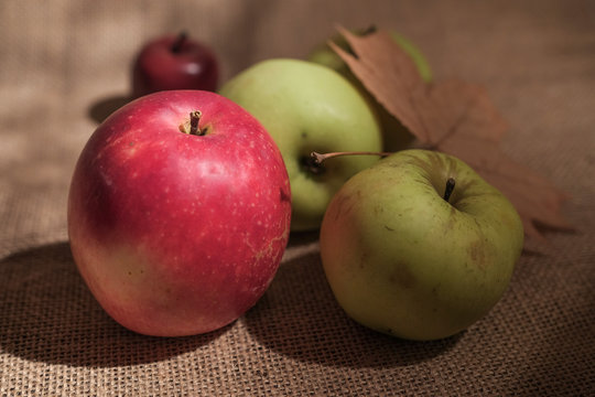 close up group of apples on burlap textured surface with dry brown autumn leaf on side/another lighting condition