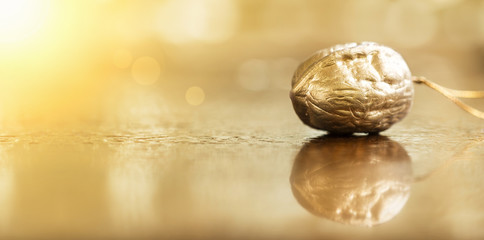 Banner of golden Christmas nut decoration with copy space