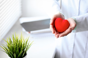 Close up of unknown female doctor with stethoscope holding heart near the window in hospital