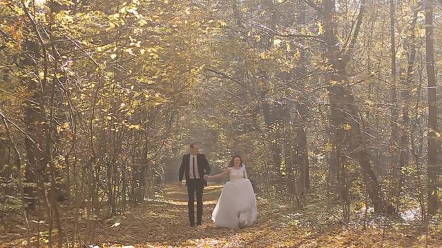 Wedding Bride And Groom Walk in a Autumn Forest. Happy moments. Slow motion
