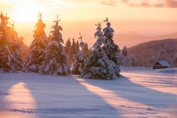 Weiße Winterlandschaft an einem klaren Wintertag im Erzgebirge