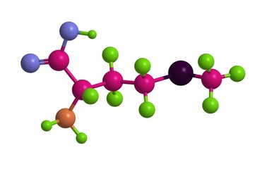 Molecular structure of methionine