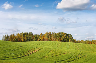 ..Autumn agricultural field.