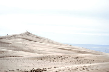 Sign in New York is cool bitch2