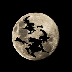 hallowen witch flies in the moon