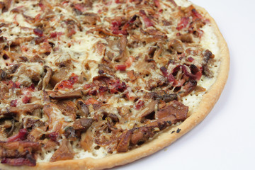 tarte aux champignons 13102016