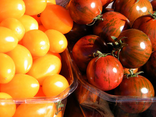Tel Aviv yellow and brown tomatoes 2011