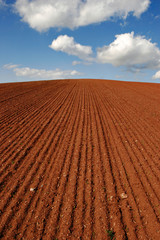 Plowed Field under Blue Sky with Clouds
