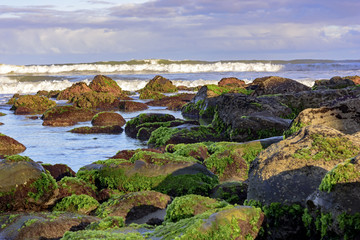 Fototapeta na wymiar Mossy stones between the waters of the Cal Beach in Torres city, Rio Grande do Sul