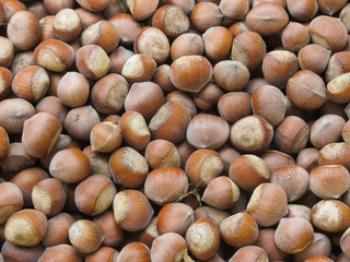natural ripe nazelnuts as background