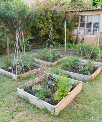Carr&eacute;s de potager