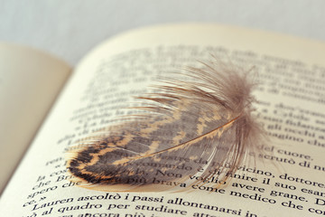 Piuma su libro