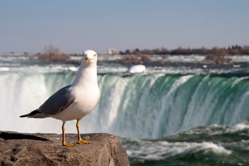 Niagara Fälle