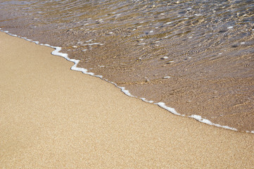 Sea wave on sandy beach
