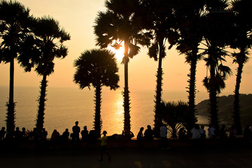 sugar palm Silhouette (Laem Phrom Thep) Viewpoint Popular travel