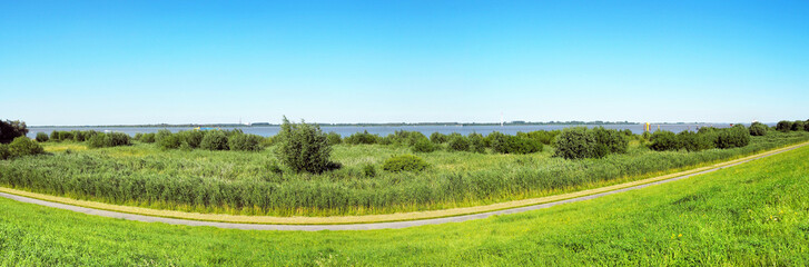 Fototapeta na wymiar Naturschutzgebiet an der Elbe