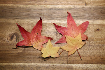 Obraz premium yellow red autumn leaves on the background a dark old wood