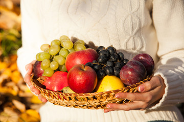 Fruits still life