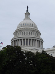 The United States Capitol Building, the eastern facade with the dome from the park, on a cloudy day in Washington DC.