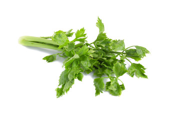 Celery isolated on white background.