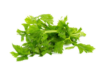 Celery isolated on white background.