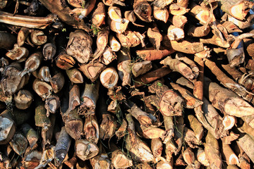 A pile of chopped wood for background/texture