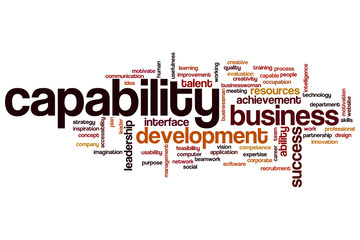 Capability word cloud
