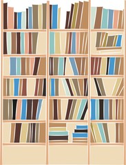 bookshelf with books
