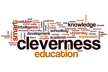 Cleverness word cloud