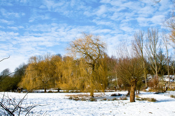 1105 Winterzeit - frostiger Tag