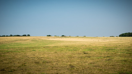 Obraz premium Campagna Inglese