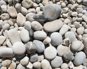 Fototapeta na wymiar Orebic,pebbles,peninsula Peljesac, Croatia
