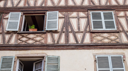 Pflanze auf Fensterbrett