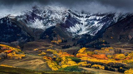 Fall In The West Elks