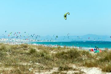 Playa con cometas de kitesurf