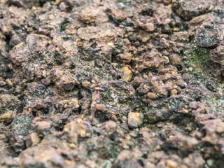 Closeup of ancient rock texture and background