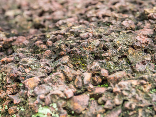 Closeup of ancient rock texture and background