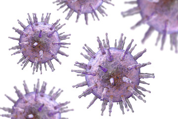 Epstein-Barr virus EBV, a herpes virus which causes infectious mononucleosis and Burkitt's lymphoma isolated on white background. 3D illustration