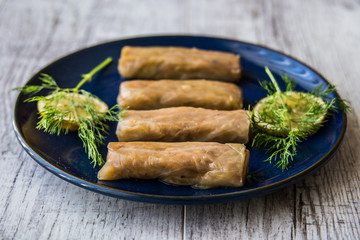 Turkish Lahana Sarmasi / Cabbage Rolls.