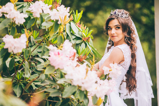 fashion outdoor photo of gorgeous bride with dark hair in luxurious wedding dress and crown posing at the park. close up. gemstone