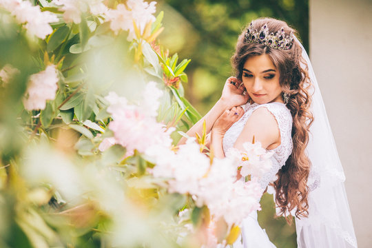 fashion outdoor photo of gorgeous bride with dark hair in luxurious wedding dress and crown posing at the park. close up. gemstone