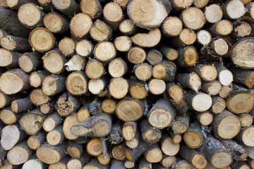 Pile of chopped fire wood prepared for winter