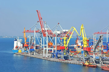 Cargo crane and ship