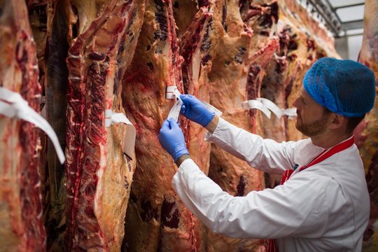Butcher putting a tag on the red meat hanging in storage room